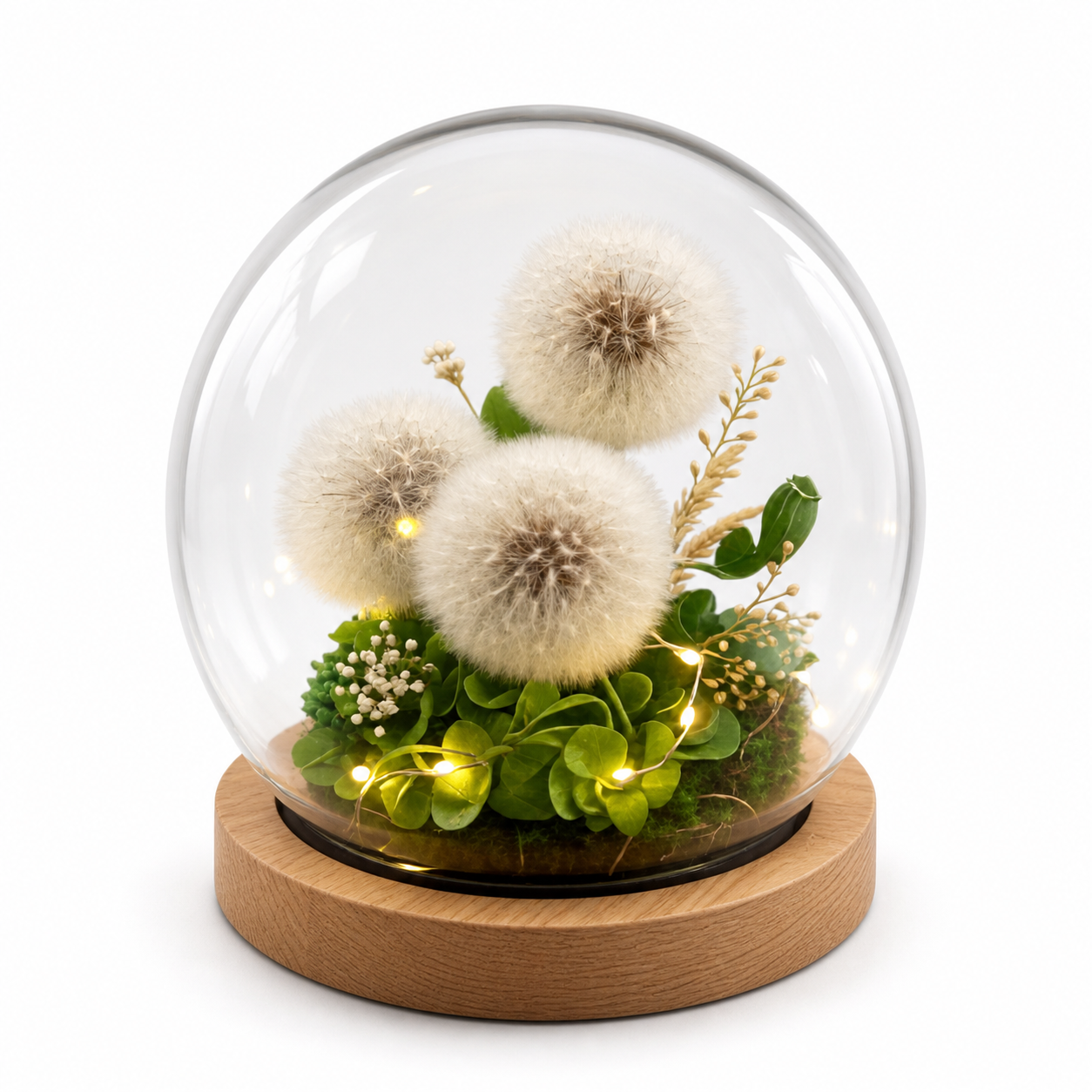 Preserved Dandelion Glass Dome with Warm LED Lights and Wooden Base, Botanical Decorative Light Gift for Birthday and Home Decor-thumbmail-1