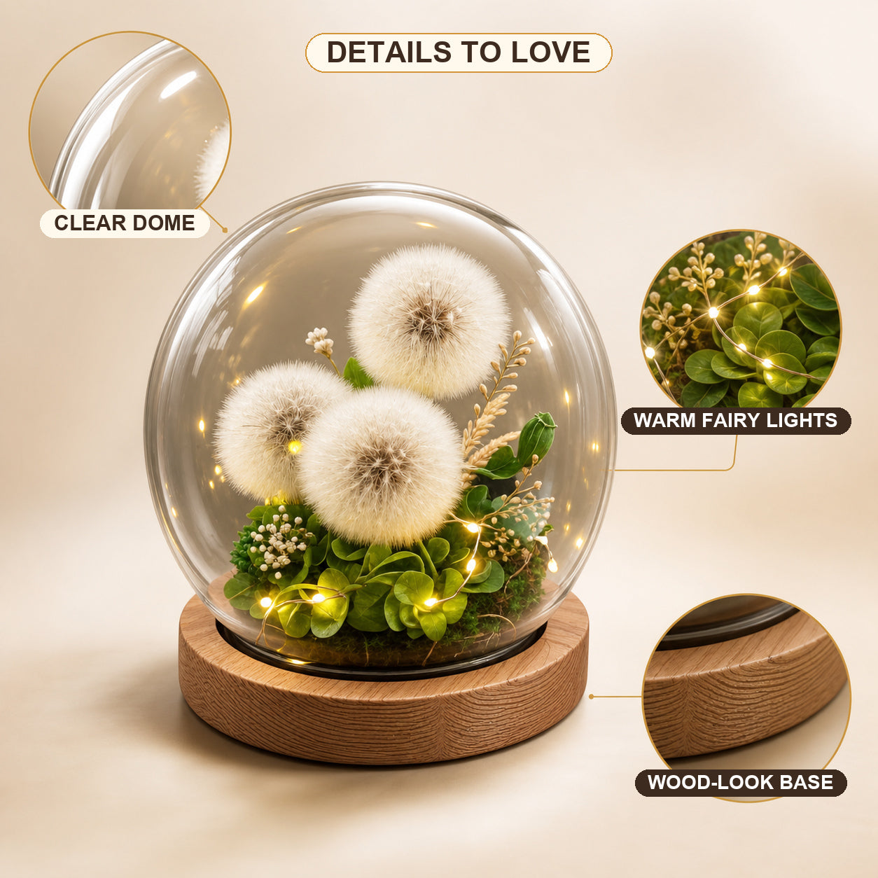 Preserved Dandelion Glass Dome with Warm LED Lights and Wooden Base, Botanical Decorative Light Gift for Birthday and Home Decor-thumbmail-2