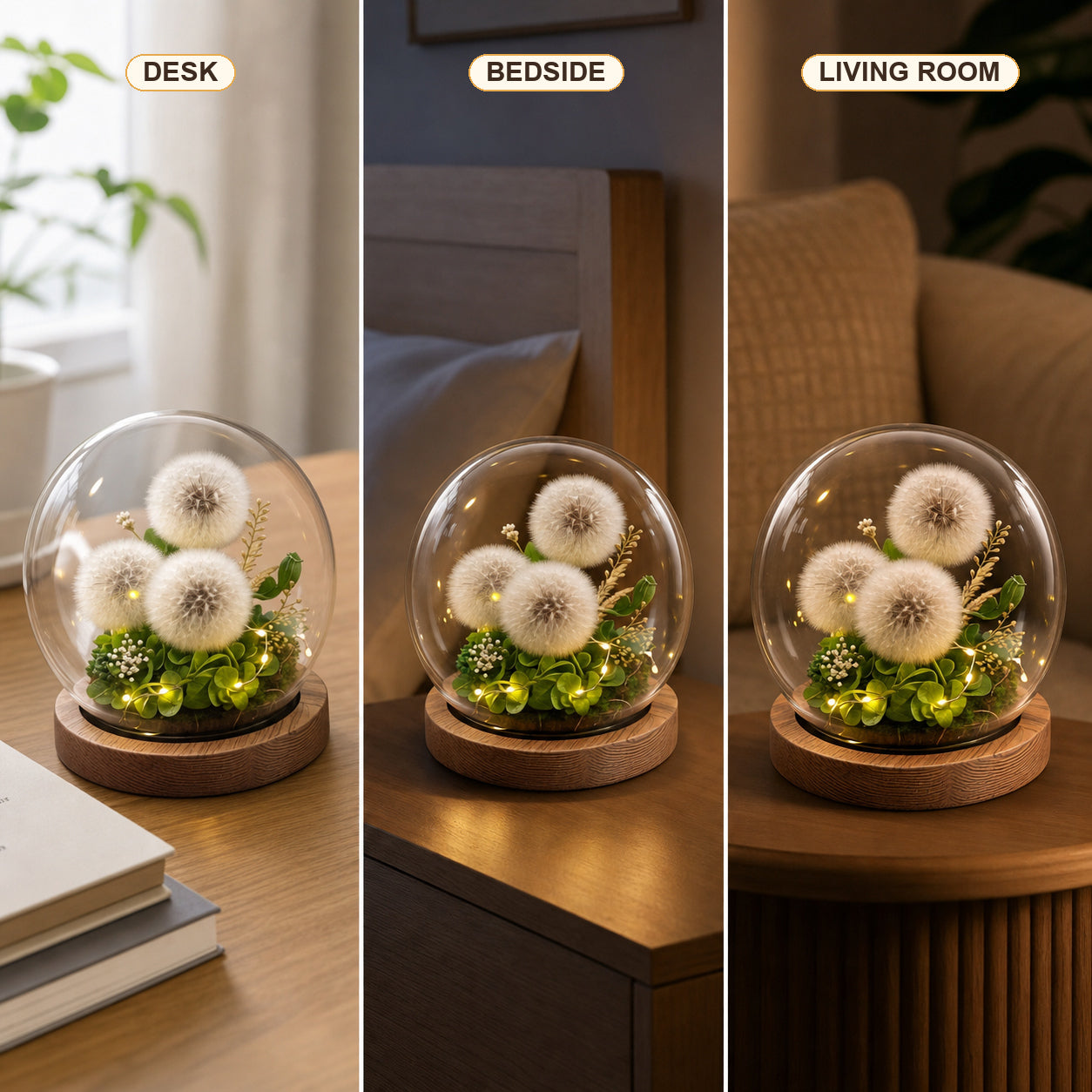 Preserved Dandelion Glass Dome with Warm LED Lights and Wooden Base, Botanical Decorative Light Gift for Birthday and Home Decor-thumbmail-5