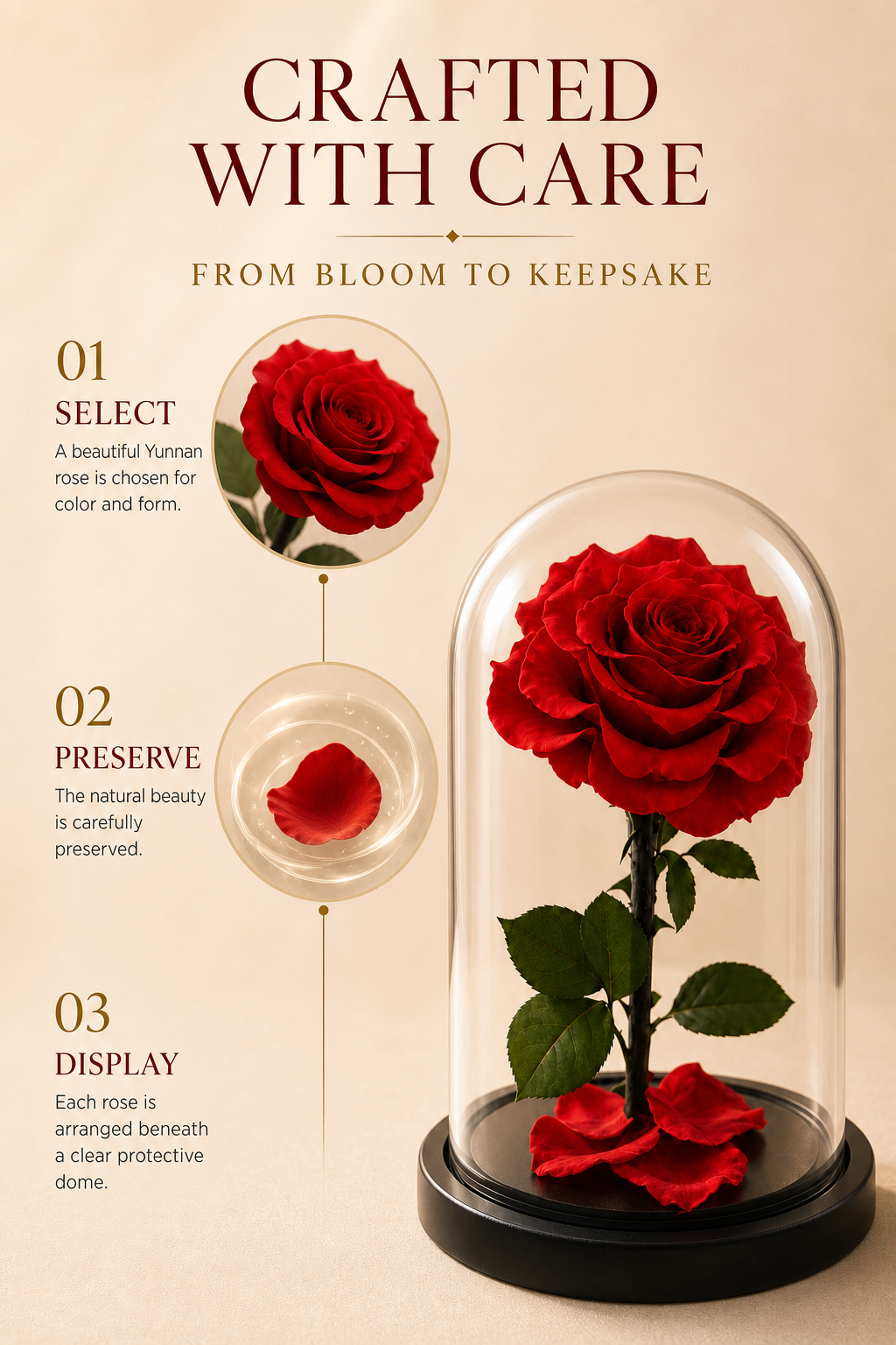 Red Preserved Rose in Glass Dome with Black Base, Single Rose Floral Display Gift for Anniversary, Birthday, Valentine's Day and Home Decor-thumbmail-8