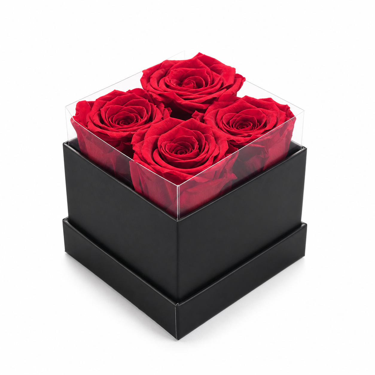 4 Preserved Red Roses in Black Gift Box with Clear Acrylic Cover, Romantic Floral Gift for Birthday, Anniversary and Valentine's Day-thumbmail-1