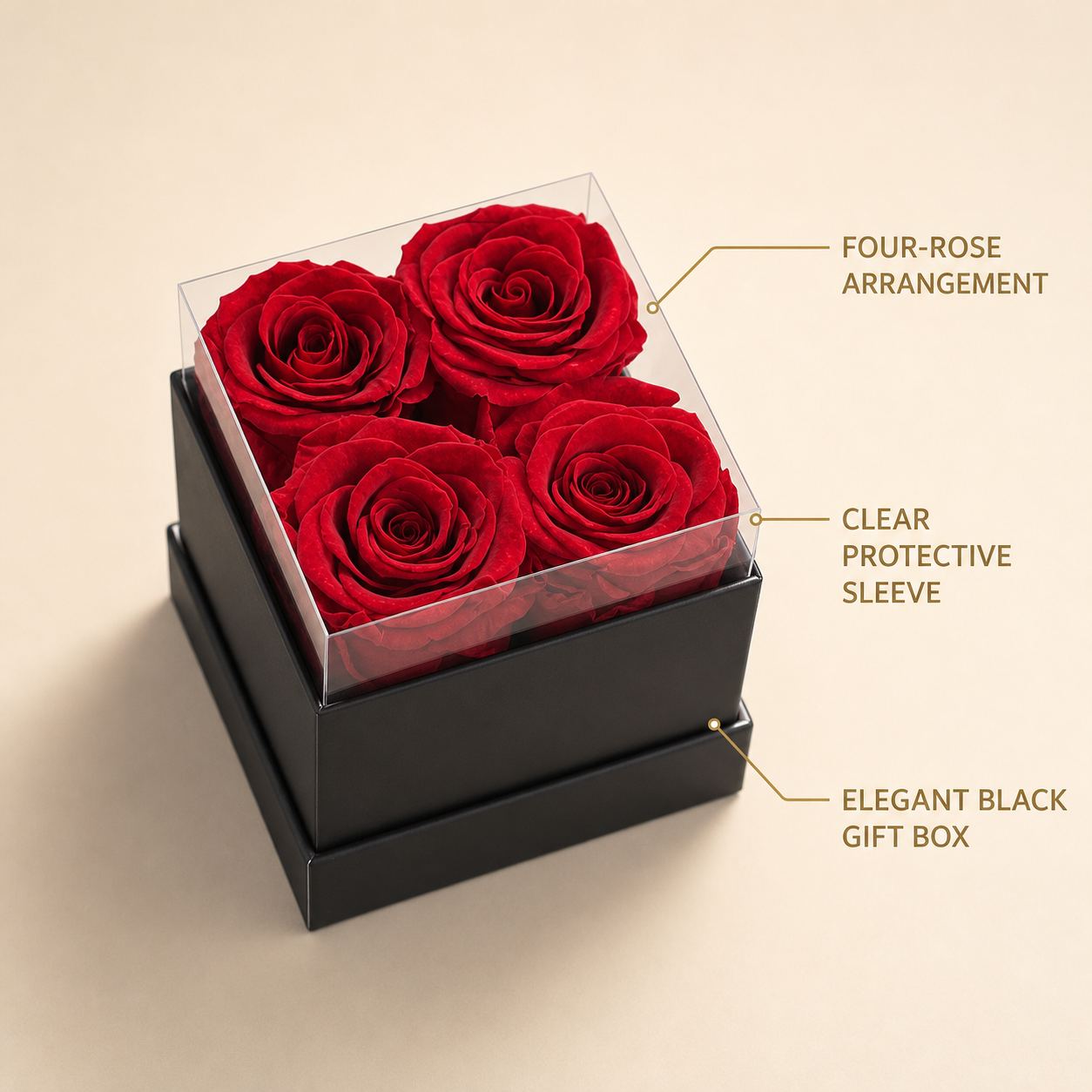 4 Preserved Red Roses in Black Gift Box with Clear Acrylic Cover, Romantic Floral Gift for Birthday, Anniversary and Valentine's Day-thumbmail-5
